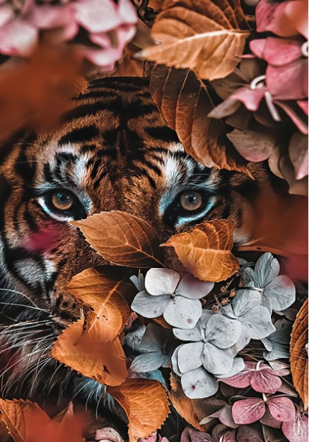 Tiger Flower Mural Poster