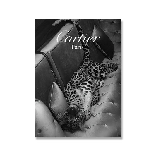 Cartier Paris Luxury Black White Poster