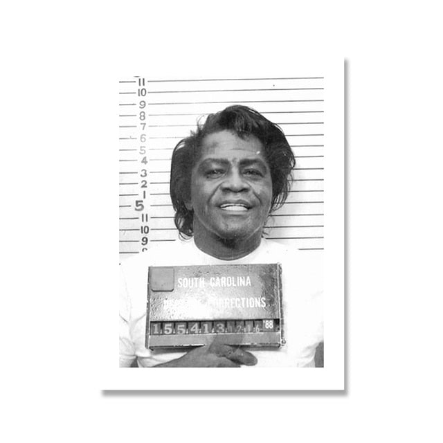 James Brown Celebrity Mugshot Poster