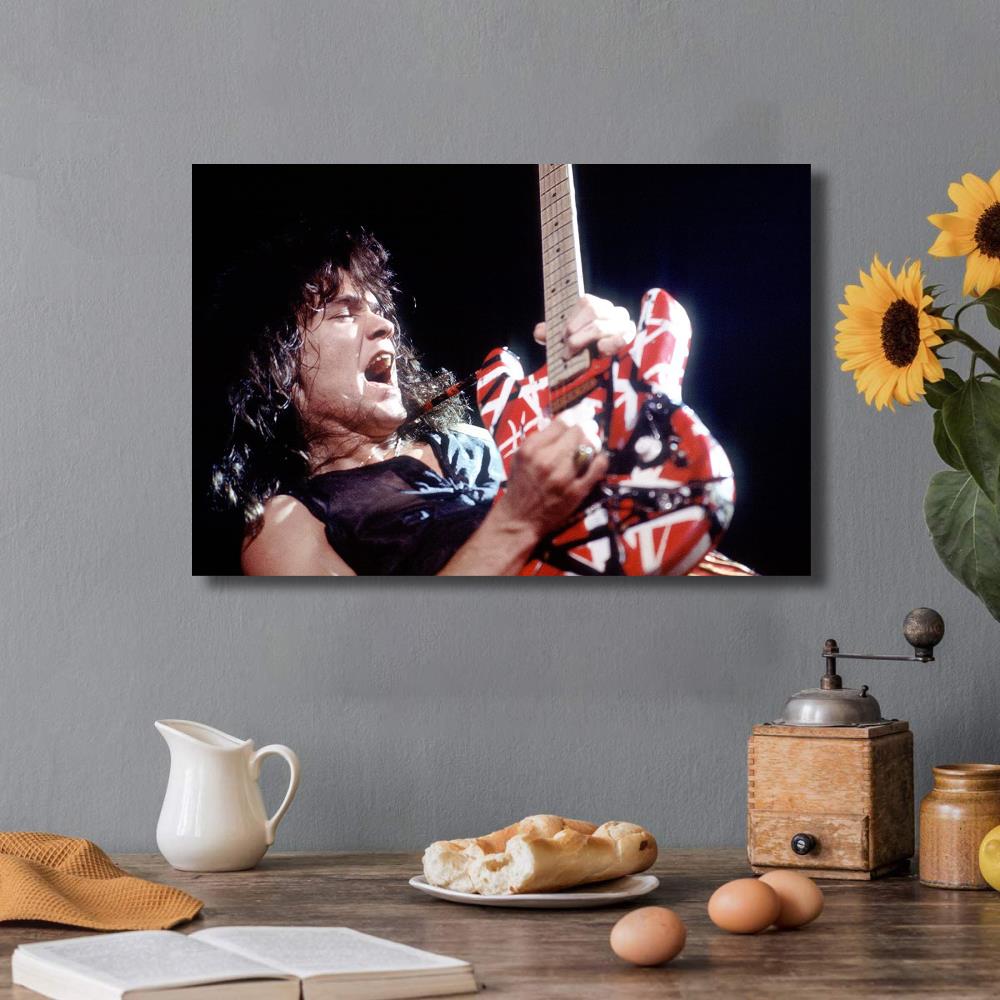 Eddie Van Halen Guitar Concert Portrait Poster – Aesthetic Wall Decor