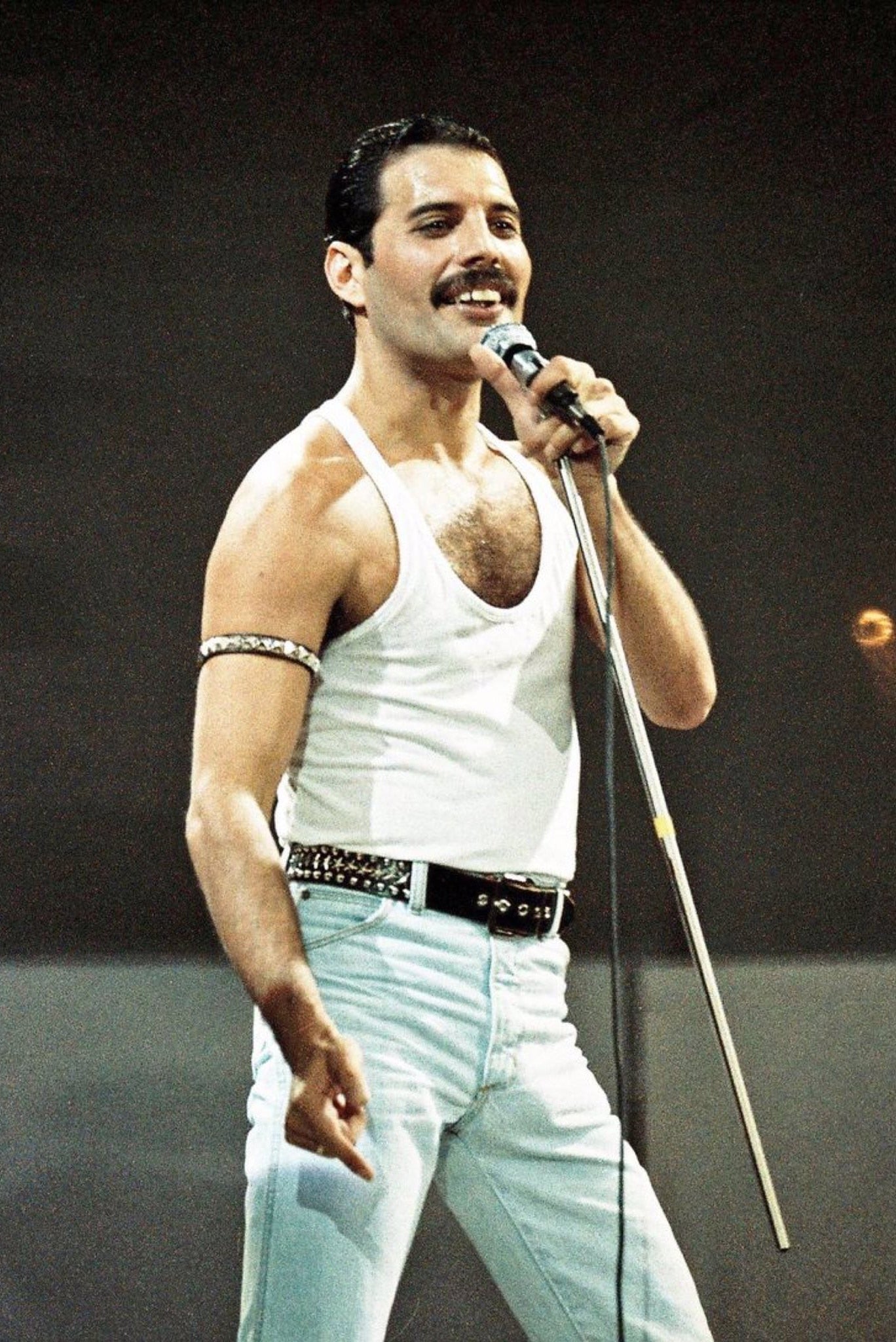 Queen Band Freddie Mercury Portrait Poster