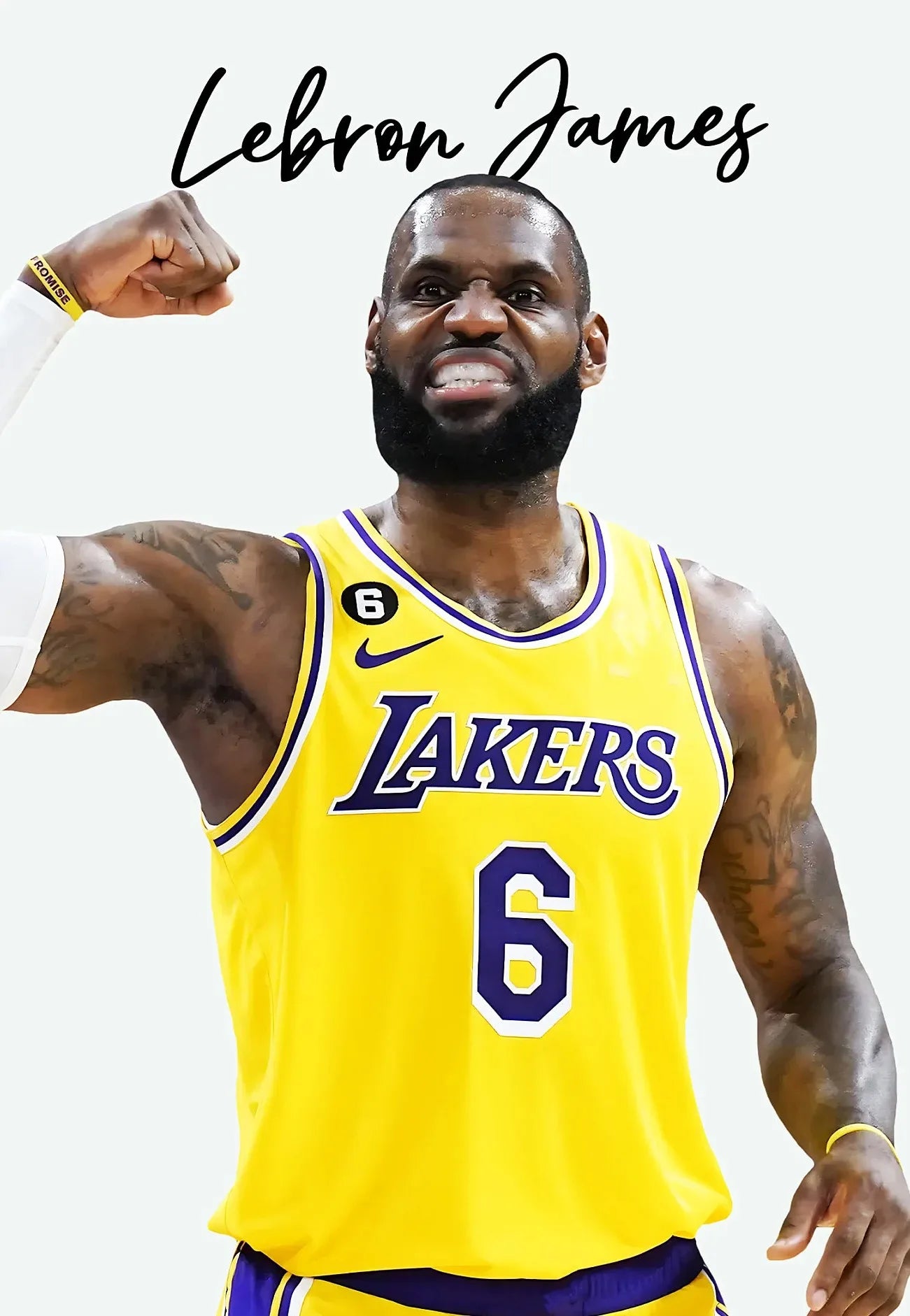 LeBron James Lakers NBA Poster – Aesthetic Wall Decor