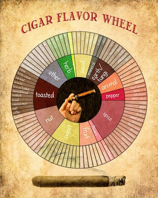 Cigar Flavor Wheel Cigar Room Poster – Aesthetic Wall Decor