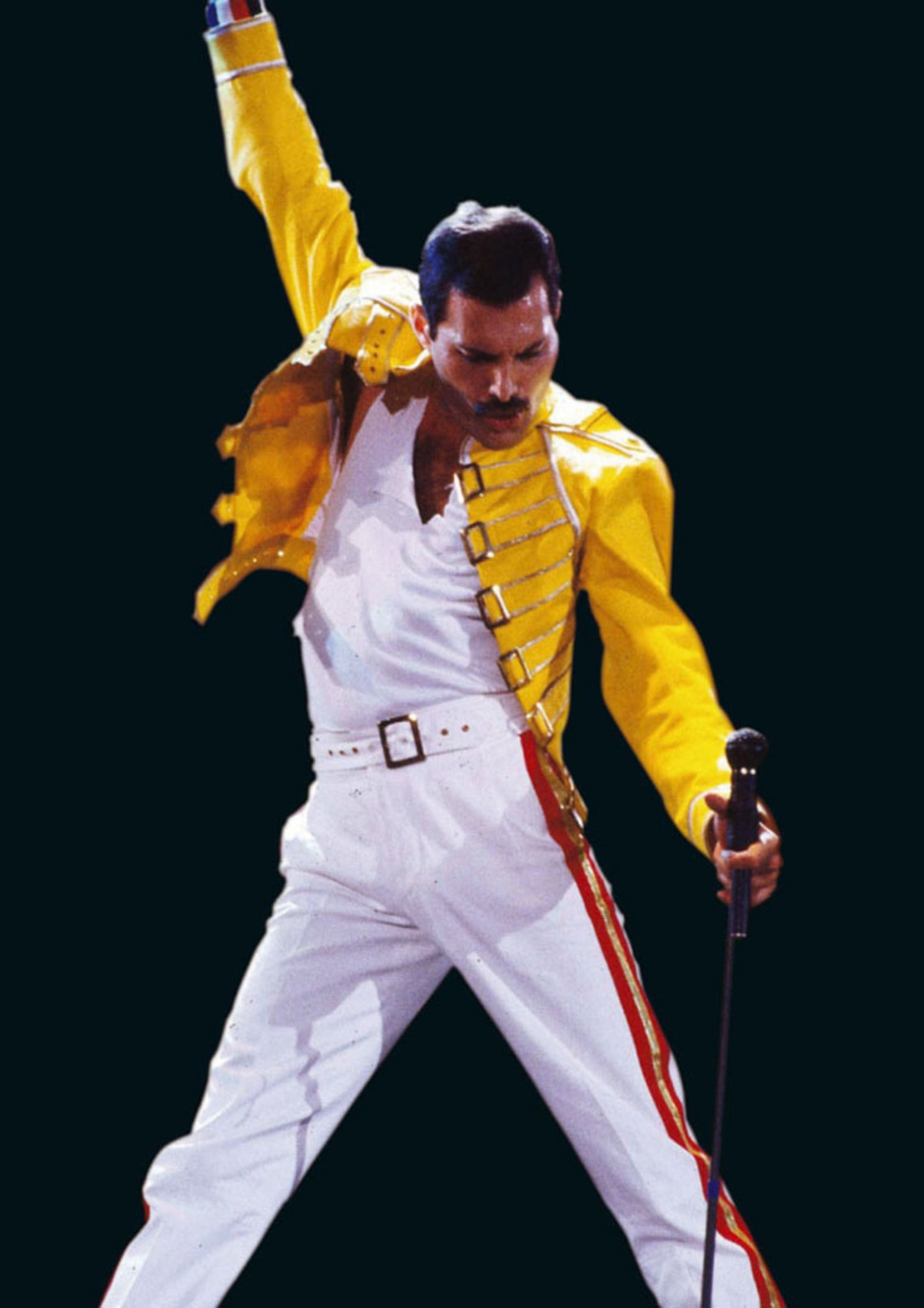 Queen Band Freddie Mercury Iconic Pose Poster