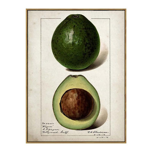 Avocado Aesthetic Fruit Kitchen Wall Art Poster - Aesthetic Wall Decor