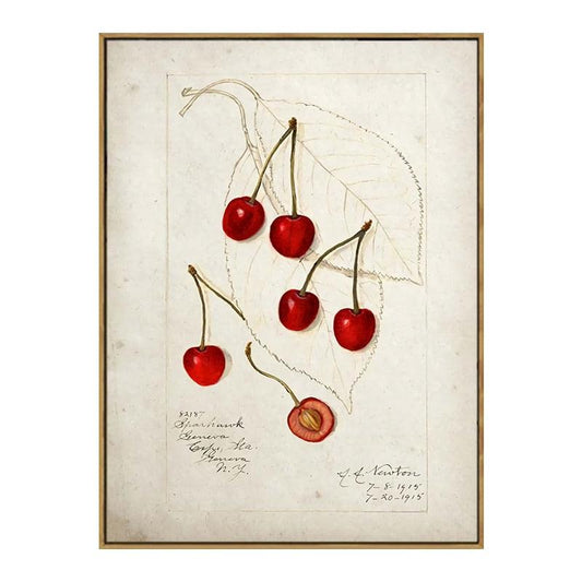 Cherries Aesthetic Fruit Kitchen Wall Art Poster - Aesthetic Wall Decor