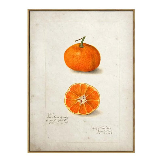 Clementine Aesthetic Fruit Kitchen Wall Art Poster - Aesthetic Wall Decor