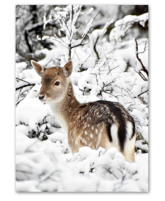 Deer Calf Snowy Landscape Print Poster - Aesthetic Wall Decor