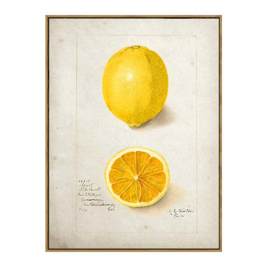 Lemon Aesthetic Fruit Kitchen Wall Art Poster - Aesthetic Wall Decor