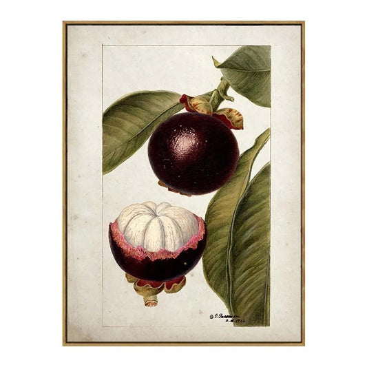 Mangosteen Aesthetic Fruit Kitchen Wall Art Poster - Aesthetic Wall Decor