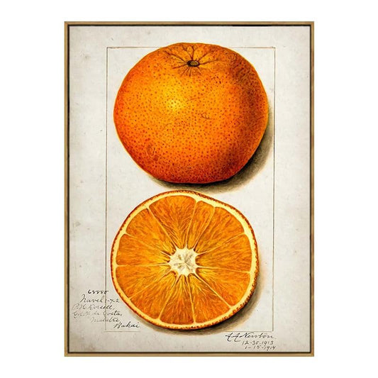 Orange Aesthetic Fruit Kitchen Wall Art Poster - Aesthetic Wall Decor