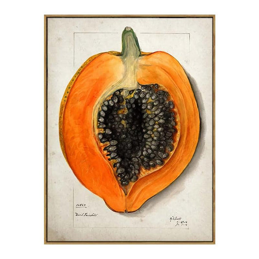 Papaya Aesthetic Fruit Kitchen Wall Art Poster - Aesthetic Wall Decor