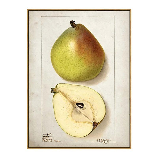 Pear Aesthetic Fruit Kitchen Wall Art Poster - Aesthetic Wall Decor