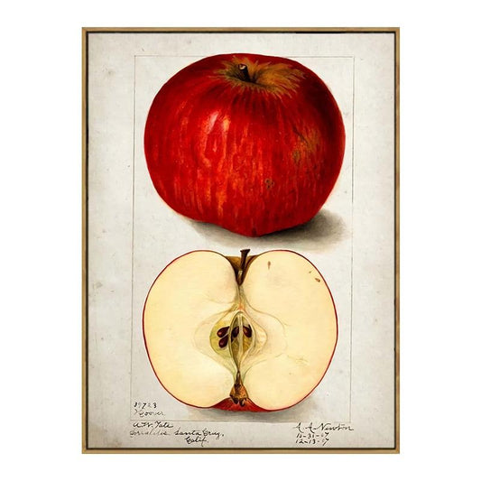 Red Apple Aesthetic Fruit Kitchen Wall Art Poster - Aesthetic Wall Decor