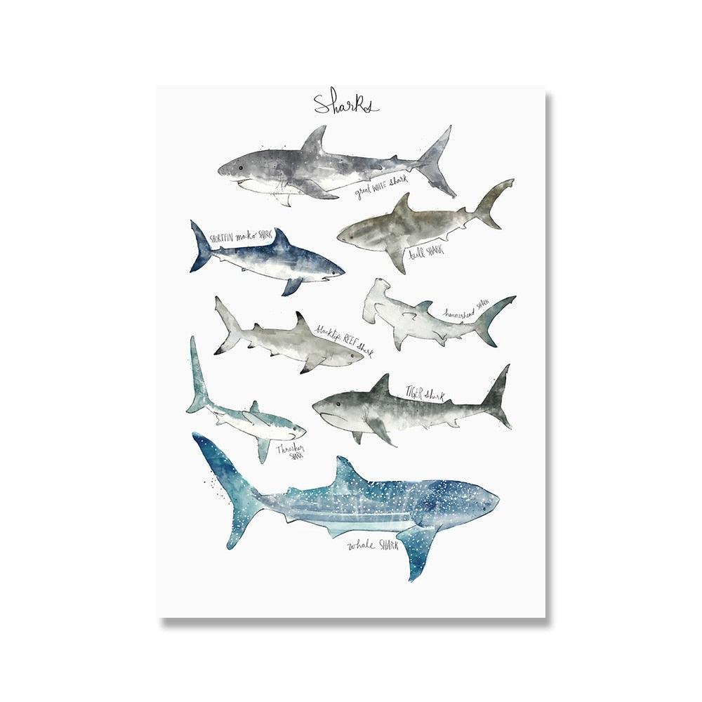 Shark Types Wildlife Poster - Aesthetic Wall Decor