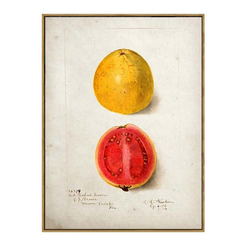 Sunshine Watermelon Aesthetic Fruit Kitchen Wall Art Poster - Aesthetic Wall Decor