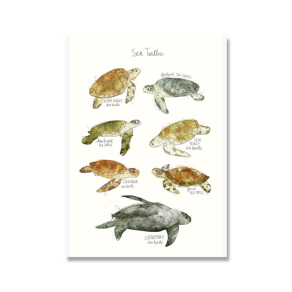 Turtle Wildlife Poster - Aesthetic Wall Decor